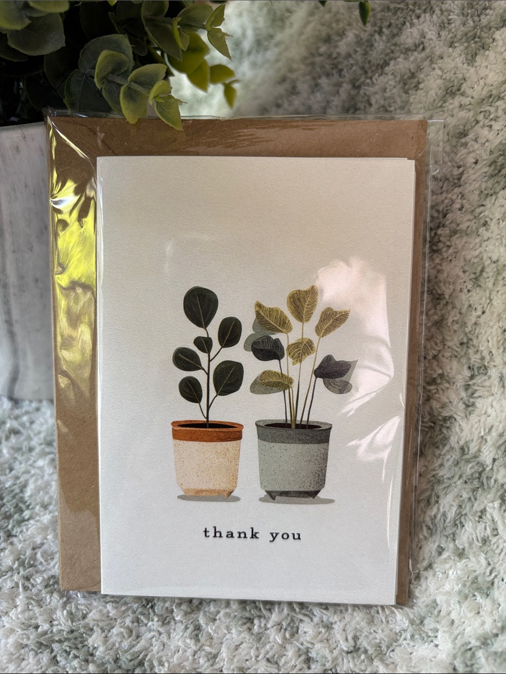 Thank You Note Card Variety Set of 6 with Potted Plant Watercolor images NWT